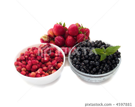 variety of berries variety of berries 4597881