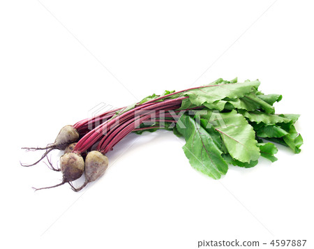 young beetroot young beetroot 4597887