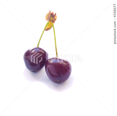 sweet cherry sweet cherry 4598077