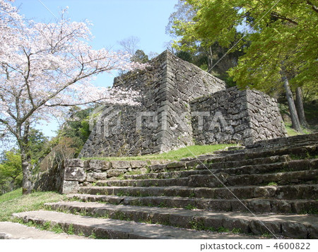 Castle of Hitoyoshi 4600822
