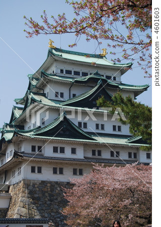 名古屋城堡 城堡塔樓 天守閣 4601603