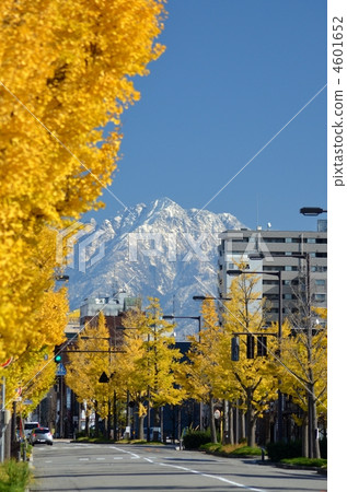 在銀杏樹麵條看見的Shirane麵條山 4601652