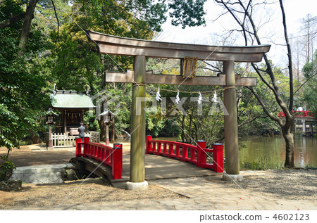 步行大宮/宗像神社（冰川神社的公司） 4602123