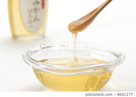 蜂蜜 蜂蜜 4602177