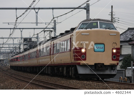 Inner line 183 series 4602344