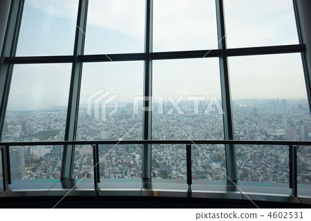 東京天空樹 4602531