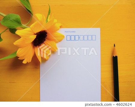 炎熱的夏季 4602624