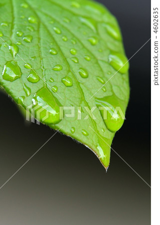 舉起 向上 升起 4602635