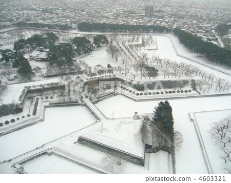 Midwinter Goryokaku Park 4603321