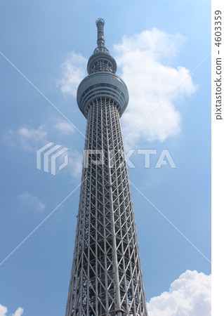 東京天空樹 4603359