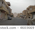 Palmyra 4603669