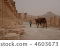 Palmyra 4603673