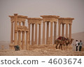 Palmyra 4603674