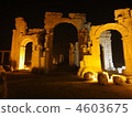 Palmyra 4603675