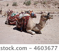 Petra ruins 4603677