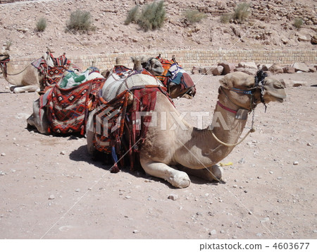 Petra ruins 4603677