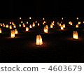 Petra Bai Night 4603679