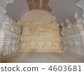 Palmyra 4603681