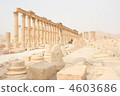 Palmyra 4603686
