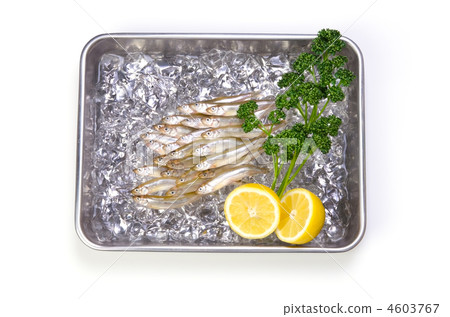 聞燒，wakasaki 4603767