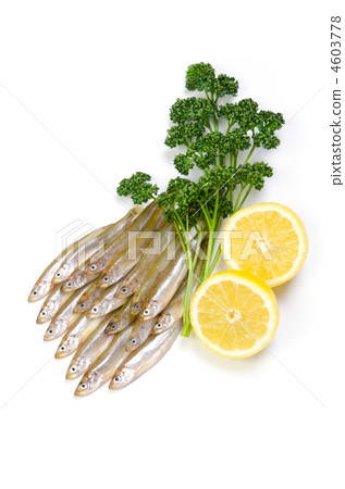 聞燒，wakasaki 4603778