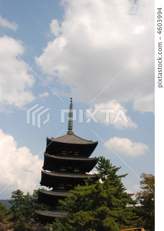興福寺（奈良市雪湖町/奈良縣）的“五重塔” 4603994