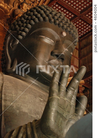 奈良的佛（東大寺，佛寺/奈良市，奈良縣） 4604004