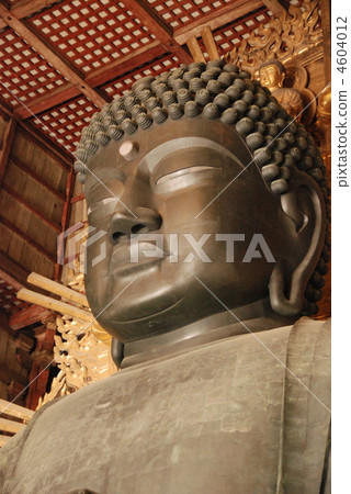 奈良的佛（東大寺，佛寺/奈良市，奈良縣） 4604012