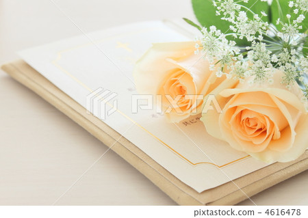 婚禮花玫瑰 4616478