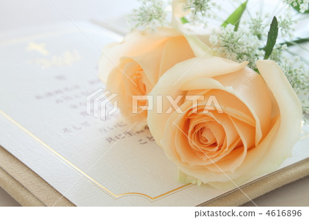 婚禮花玫瑰 4616896