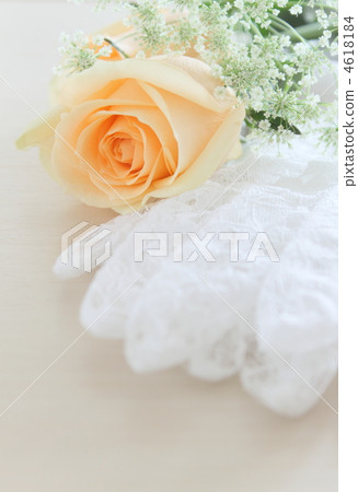 Wedding flower rose Wedding flower rose 4618184