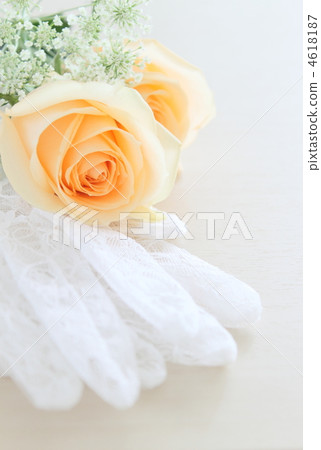 Wedding flower rose 4618187