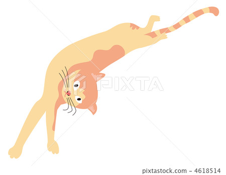 A cat that stretches backward (brown) A cat that stretches backward (brown) 4618514