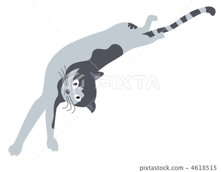 Cat stretching backward (gray) Cat stretching backward (gray) 4618515