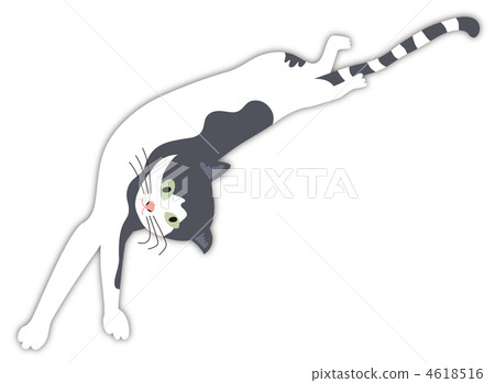 Stretching cat (white) Stretching cat (white) 4618516