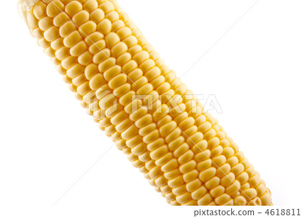 Corn 4618811