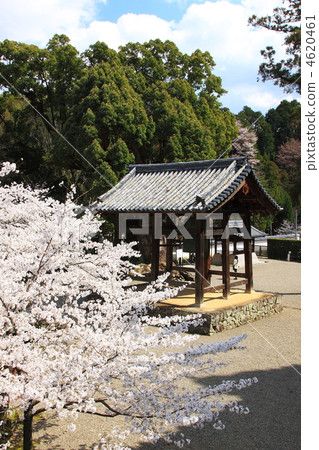 Bansho temple of Meiji Temple 4620461