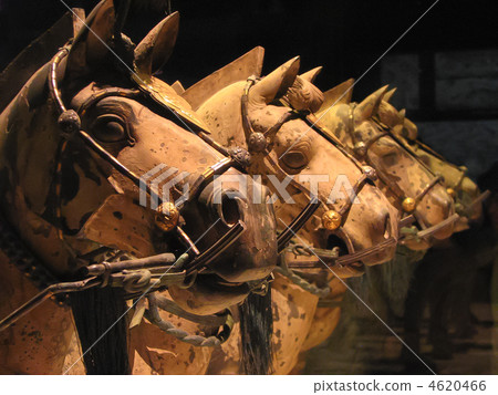 China Xian Terracotta Warriors Museum horses 4620466