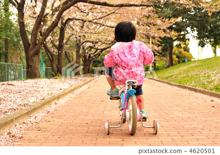 Auxiliary wheel 1 4620501