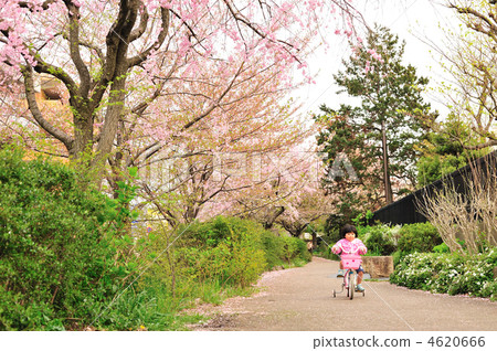 女兒騎自行車 4620666