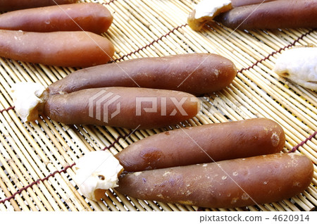魚子 魚子 4620914