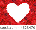 Carnation  4623470