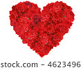 carnation, carnations, heart 4623496