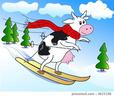 Cow on ski Cow on ski 4625186