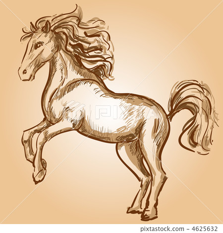 Horse 4625632