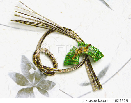 水引松 水引松 4625829