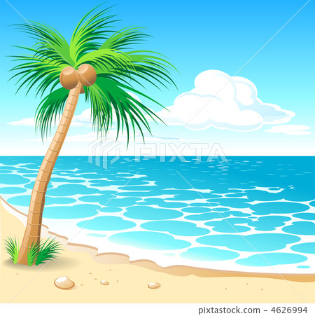 Tropical beach 4626994