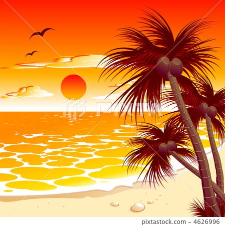 Tropical sunset Tropical sunset 4626996