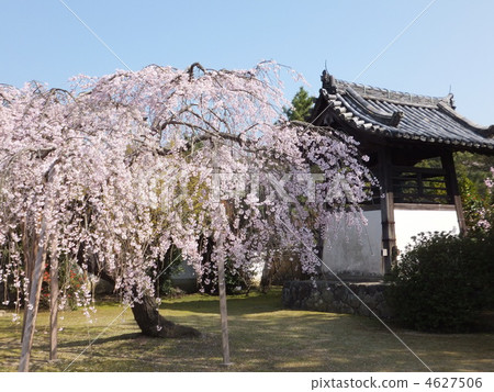 東大寺推薦辦公室 4627506