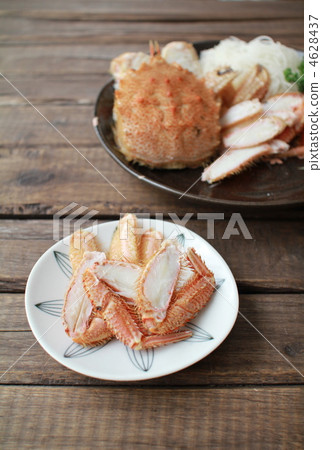 北海道大閘蟹，切塊，肉質飽滿，蟹腿分開 4628437